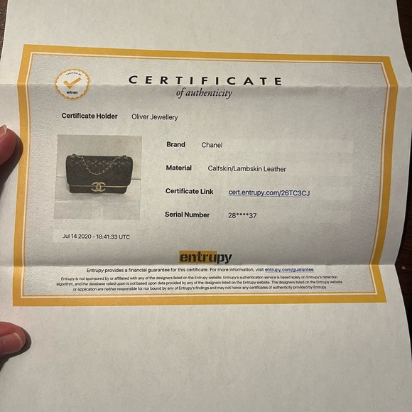 Chanel Medium CC Chic Flap Bag - Picture 10 of 13